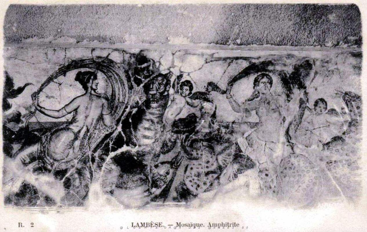 ALGERIE-RUINES ROMAINES DE LAMBESE (72).jpg